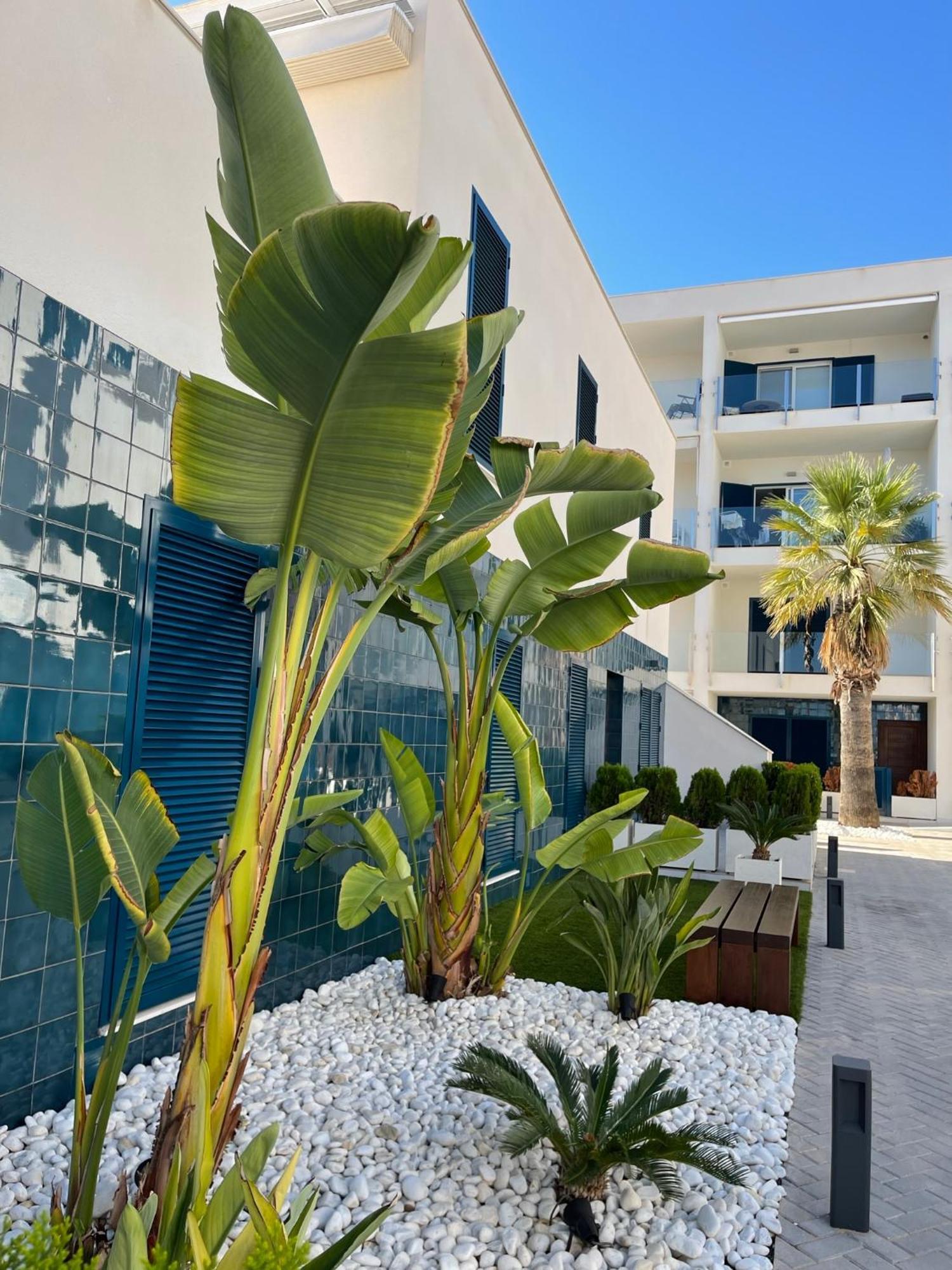 Hola Blanca - Sea, Golf, Chill Appartement Dehesa de Campoamor  Buitenkant foto