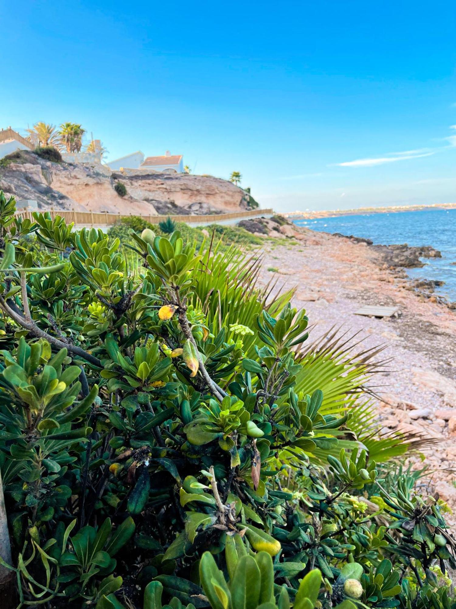 Hola Blanca - Sea, Golf, Chill Appartement Dehesa de Campoamor  Buitenkant foto