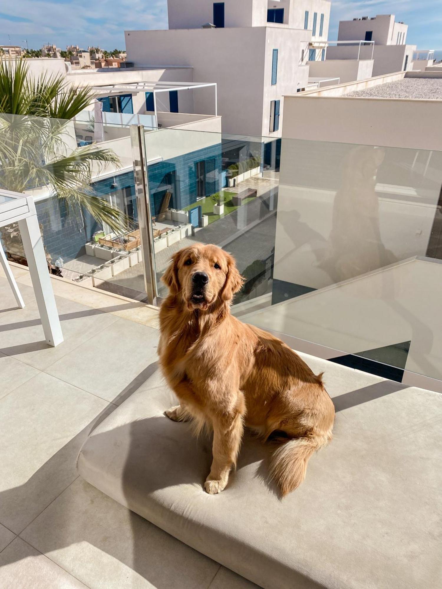 Hola Blanca - Sea, Golf, Chill Appartement Dehesa de Campoamor  Buitenkant foto