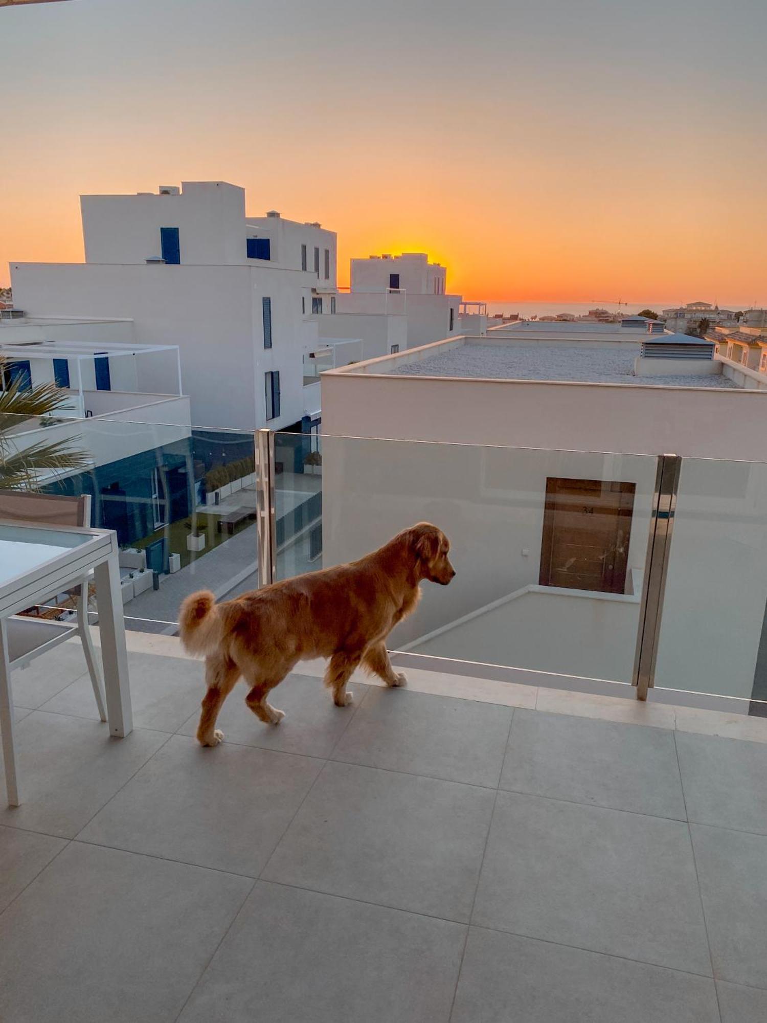 Hola Blanca - Sea, Golf, Chill Appartement Dehesa de Campoamor  Buitenkant foto